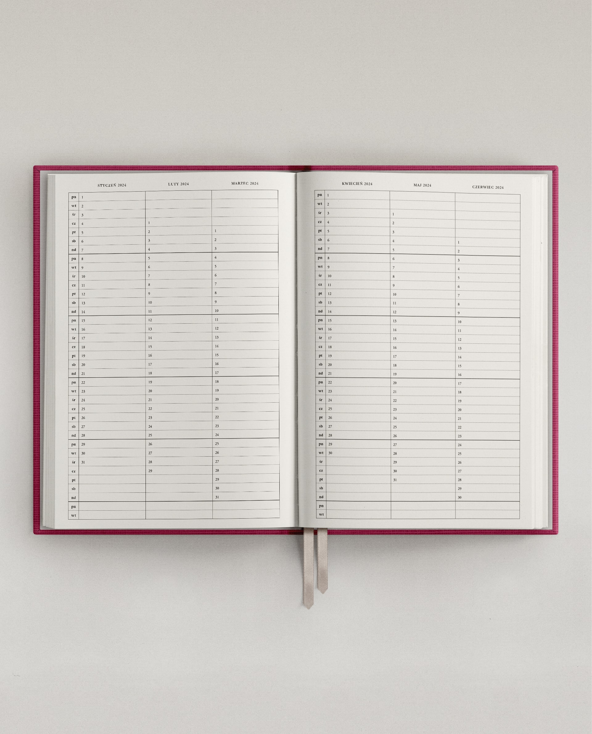 Planner PRO 2024 Daily Candy Kiss