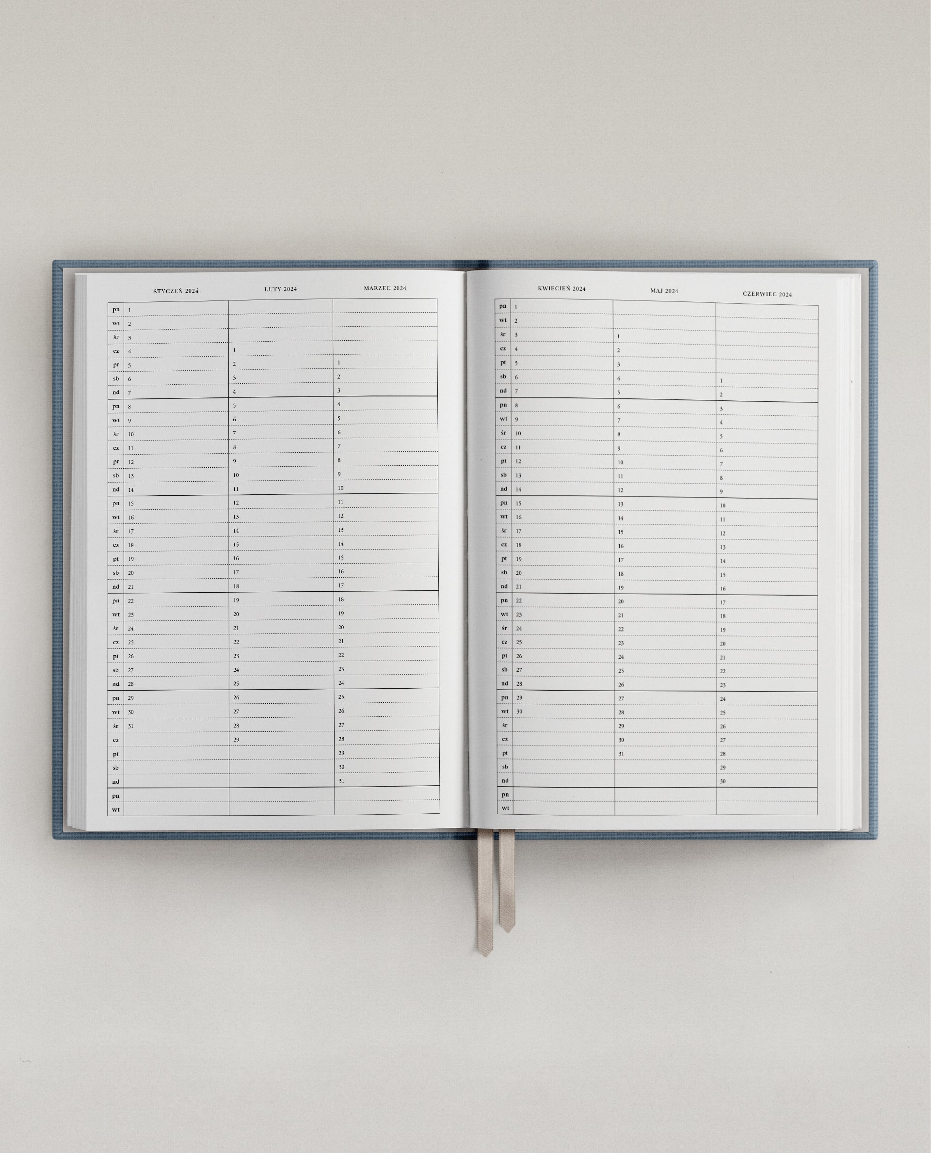2024 Daily Planner Riviera Blue